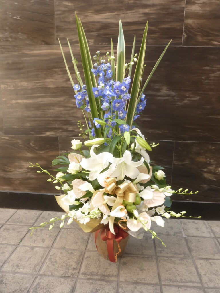 ブルーベルセレクト　オープン祝