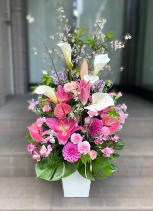 ブルーベルホームページ　オープン祝