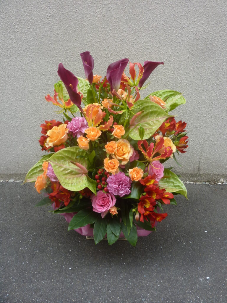 ブルーベルセレクト　オープン祝