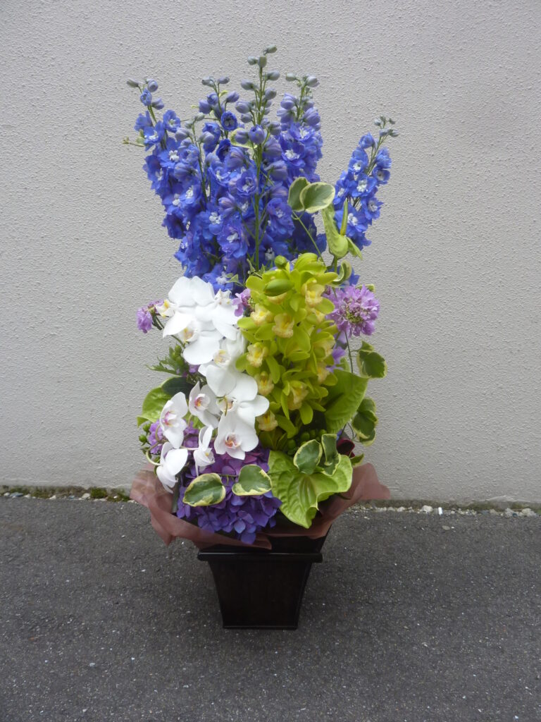 ブルーベルセレクト　楽屋花