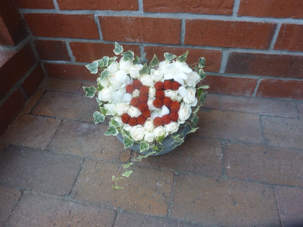 ブルーベルスペシャル　プレミアム