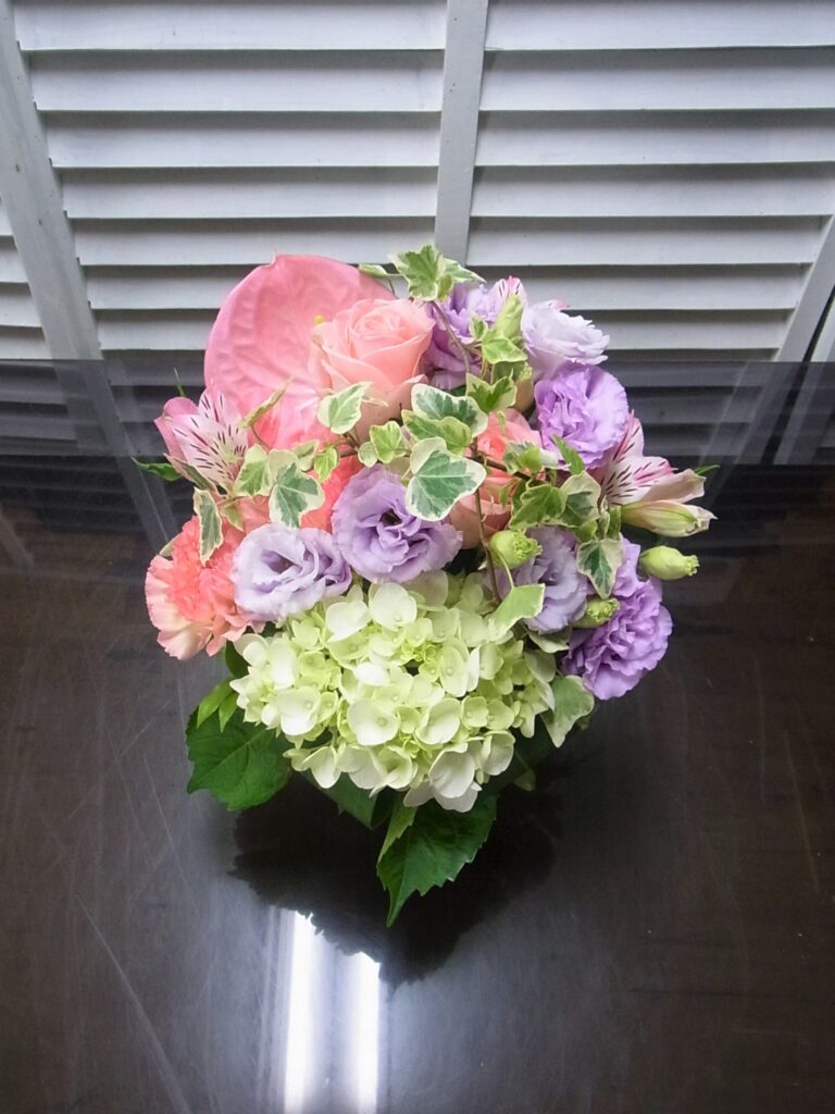 ブルーベルスペシャル　可愛い系